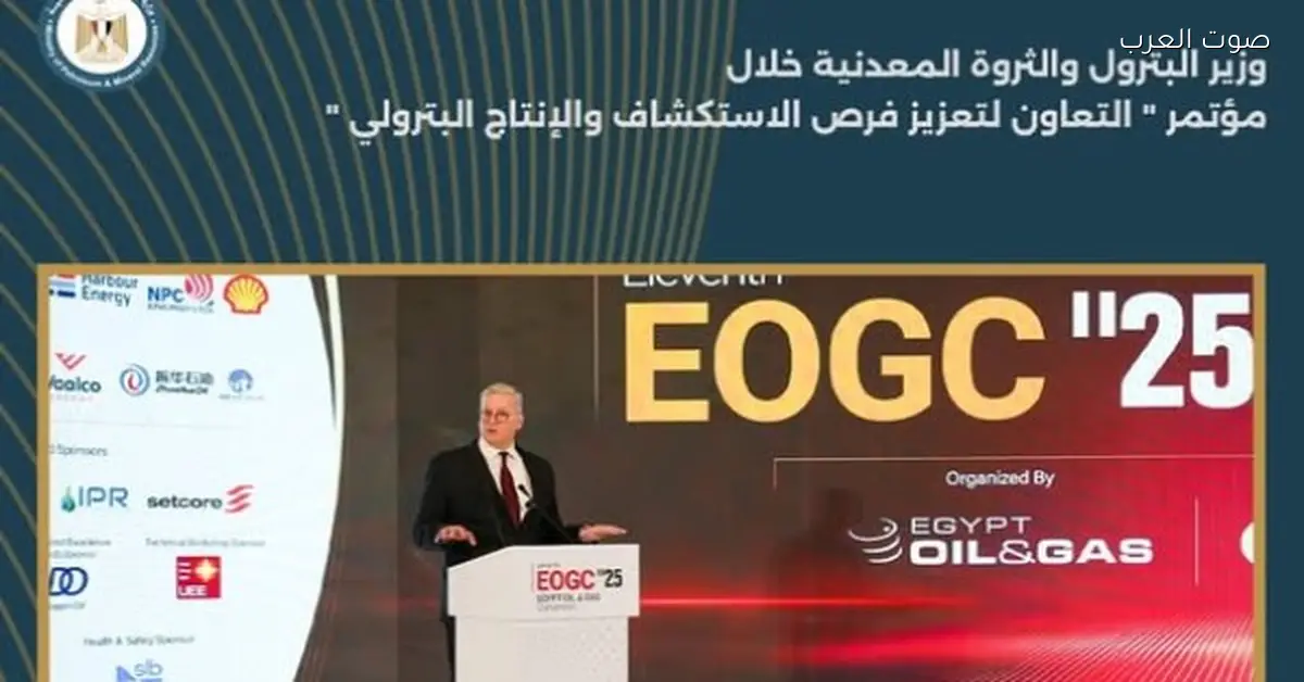 وزير البترول: الشراكة مع الشركات تسهم في تعزيز إمدادات الطاقة