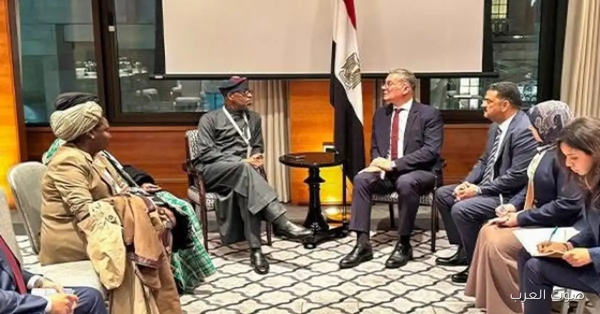 وزير البترول يناقش التعاون وتبادل الخبرات مع نيجيريا في مجال التعدين