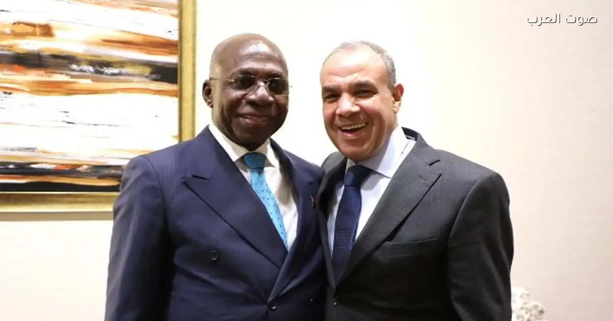 وزير الخارجية: بدء تحالف شركات مصرية للاستثمار في أنجولا