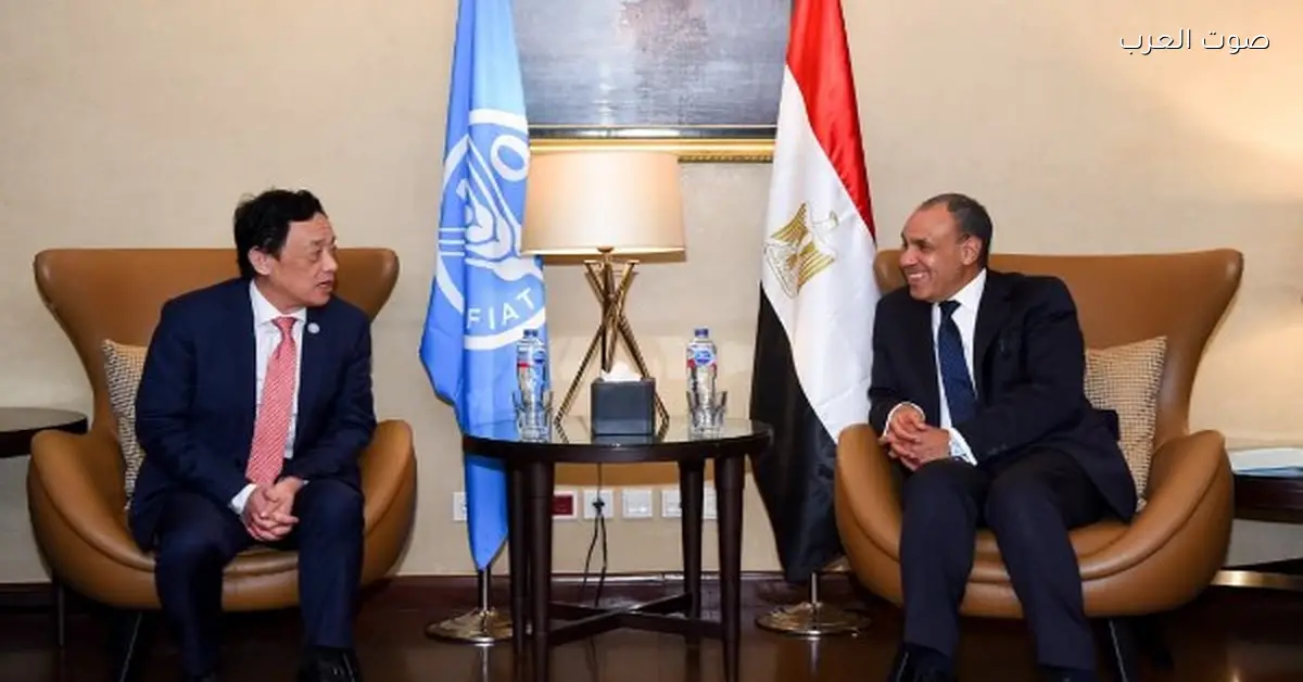 وزير الخارجية: مصر عايزة تكون رائدة في تخزين وتوريد الحبوب عالمياً