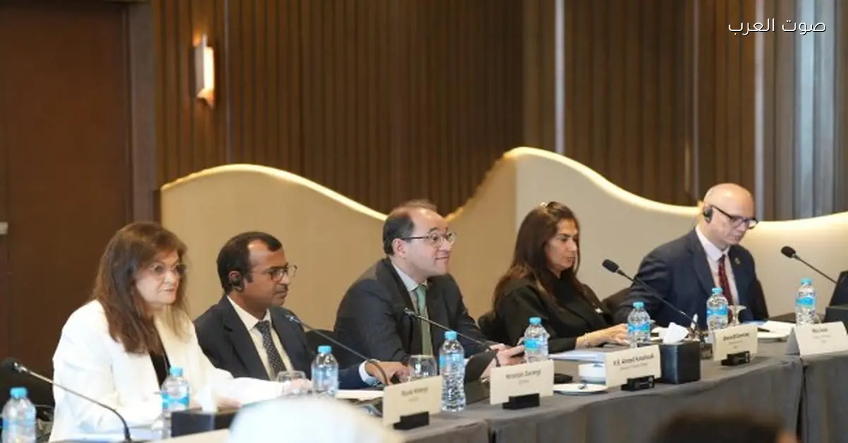 وزير المالية: النمو الاقتصادي يسجل أكثر من 5.3% في الربع الأول من العام