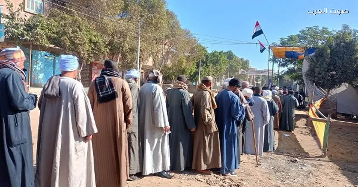 وصلوا 29.. زيادة عدد الطعون على نتيجة الدوائر الانتخابية اللي اتلغت