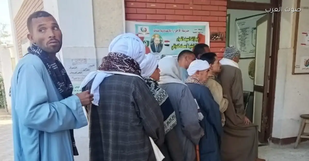 وصلوا 31.. زيادة عدد الطعون على نتيجة الدوائر الانتخابية الملغاة في الإدارية العليا