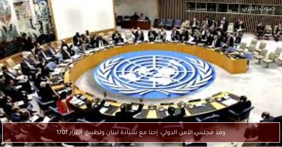 وفد مجلس الأمن الدولي: إحنا مع سيادة لبنان وتطبيق القرار 1701