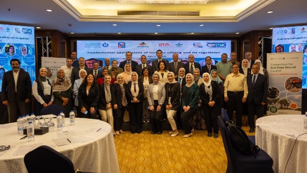 أكاديمية البحث العلمي تبدأ تدريبًا حول التحرير الجيني في الزراعة