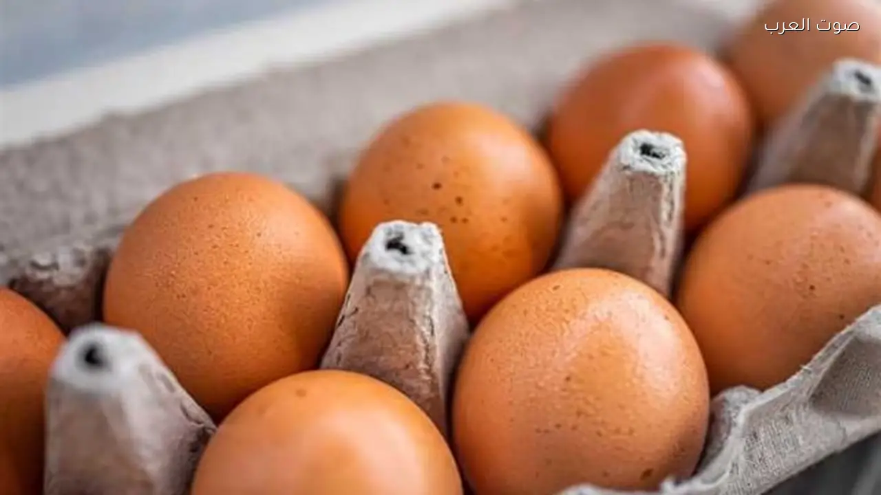 استقرار أسعار البيض اليوم بين 130 و150 جنيهًا للكرتونة