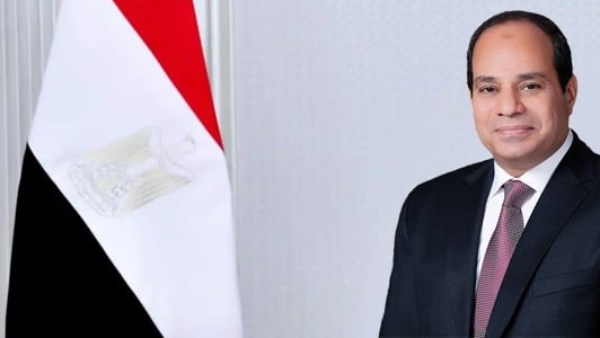 الرئيس السيسي يؤكد على أهمية رعاية المصريين في الخارج