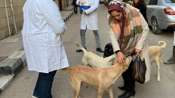 الزراعة تعلن أرقام حملة الكلاب الضالة بعد شكاوى المواطنين