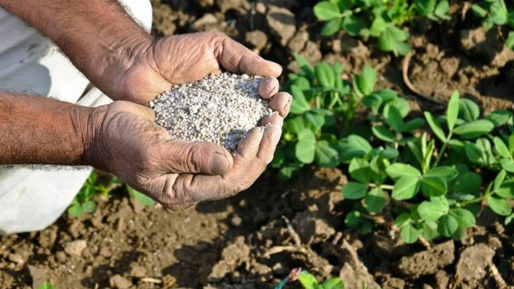 الفلاحون: الأسمدة الحيوية تخفض التكاليف وتحسن جودة المحاصيل