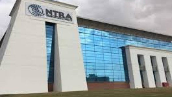 المصريون ينفذون 64 مليار عملية بحث يوميًا على الإنترنت