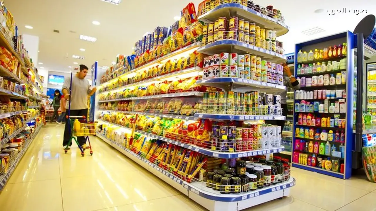 المنوفي: الشائعات الغذائية تؤثر على السوق والرقابة تحافظ على سلامة السلع