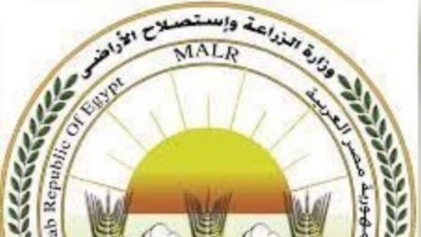 ترشيد الزراعة في مصر باستخدام الطاقة الشمسية وبدائل الأسمدة