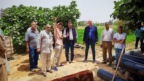 توجيهات جديدة من وزارة الزراعة لدعم مزارعي قنا والأسمدة