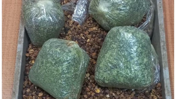 جمارك مطار القاهرة تضبط راكبا عربيا بحوزته 3 كيلو من مخدر القات