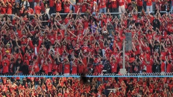 جماهير الأهلي تحتفل بتعادل الزمالك أمام إنبي قبل مواجهة بيراميدز