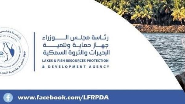 حماية البحيرات تورد 85 طن أسماك للأسواق من برسيق والزاوية