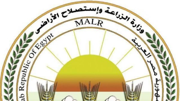 حملة تحصين الماشية ضد الحمى القلاعية تبدأ غدًا في جميع المحافظات