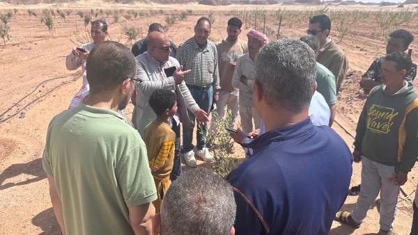 دعم عاجل لمتضرري السيول في سيناء يشمل شتلات ومنظومات ري