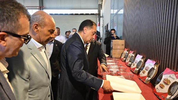 رئيس الوزراء يرد على انتقادات مشروعات العقارات في مصر