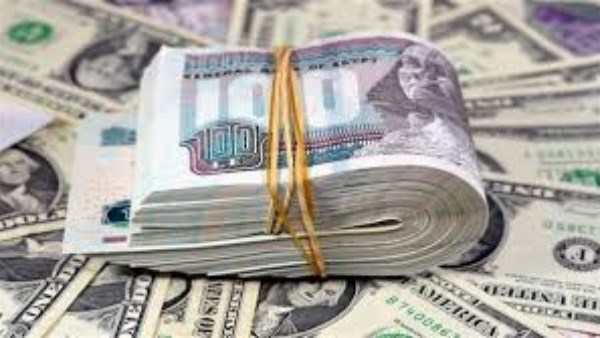 سعر الدولار في مصر ينخفض اليوم 20 أبريل 2026