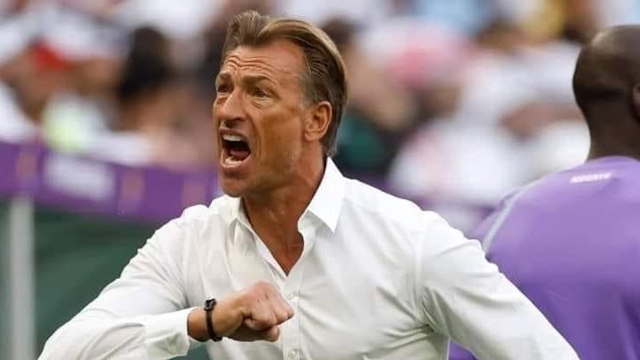 شبانة: الأهلي بحاجة إلى مدرب مثل هيرفي رينارد