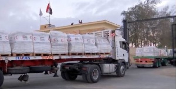 قافلة “زاد العزة” 181 تصل إلى غزة لتقديم المساعدات