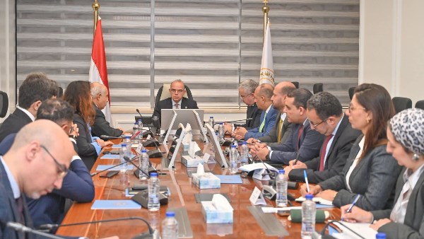 مصر والصين تتعاونان لإنشاء مجمع لصناعة إطارات السيارات