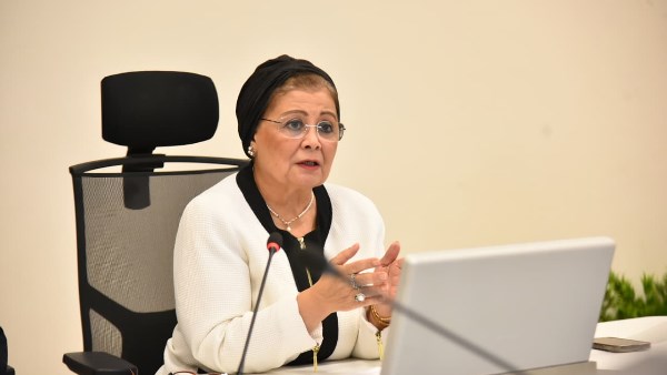 نائب وزير الصحة: استهداف معدل إنجاب 2.1 طفل لكل سيدة بحلول 2027