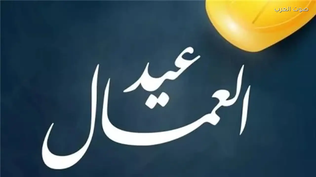 نجل مكرم في عيد العمال: تكريم الرئيس يعكس وفاء الدولة لأبنائها بعد وفاتهم