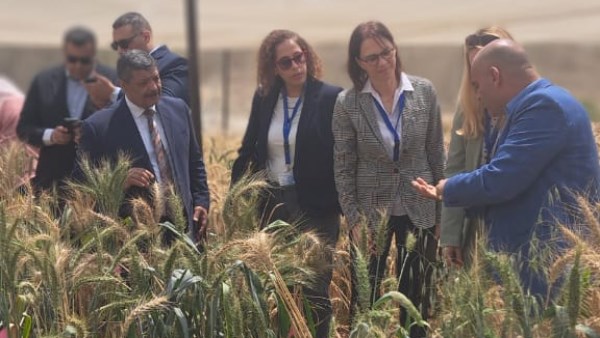 هيئة الطاقة الذرية تستقبل وفدًا ألمانيًا لتعزيز التعاون العلمي