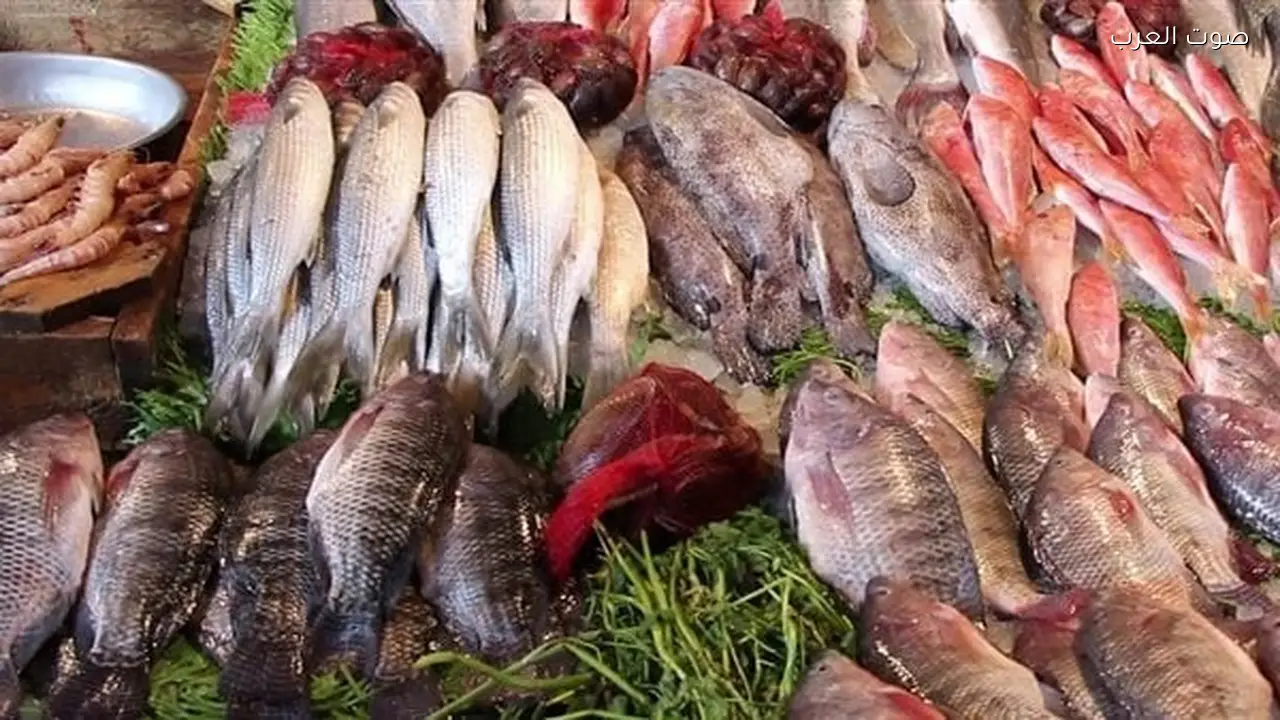 أسعار الأسماك تنخفض والبلطي أقل من 80 جنيها اليوم