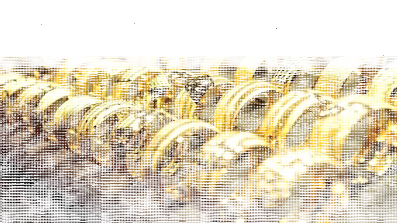 أسعار الذهب في السوق المحلي تتراجع خلال منتصف تعاملات السبت