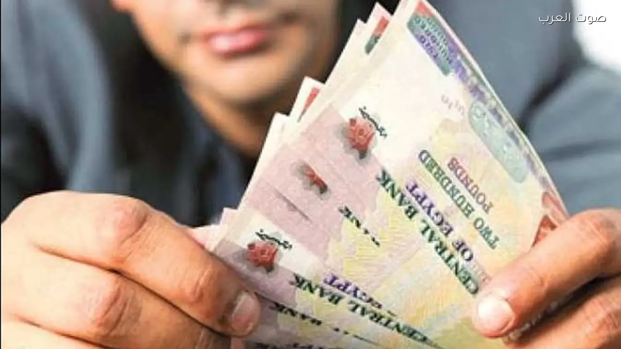اختيار شهادة ادخار تناسب احتياجاتك المالية بعائد يصل إلى 100%