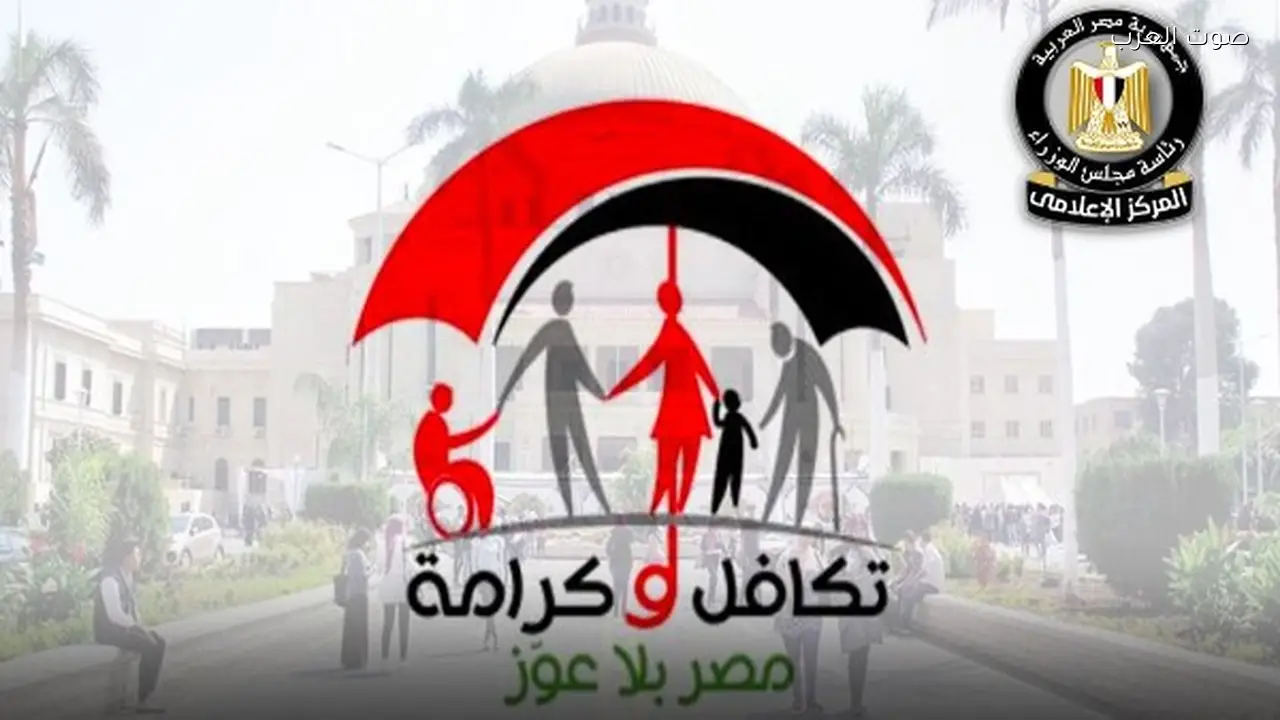 التضامن تدفع مصروفات 37 ألف طالب في 13 جامعة حكومية