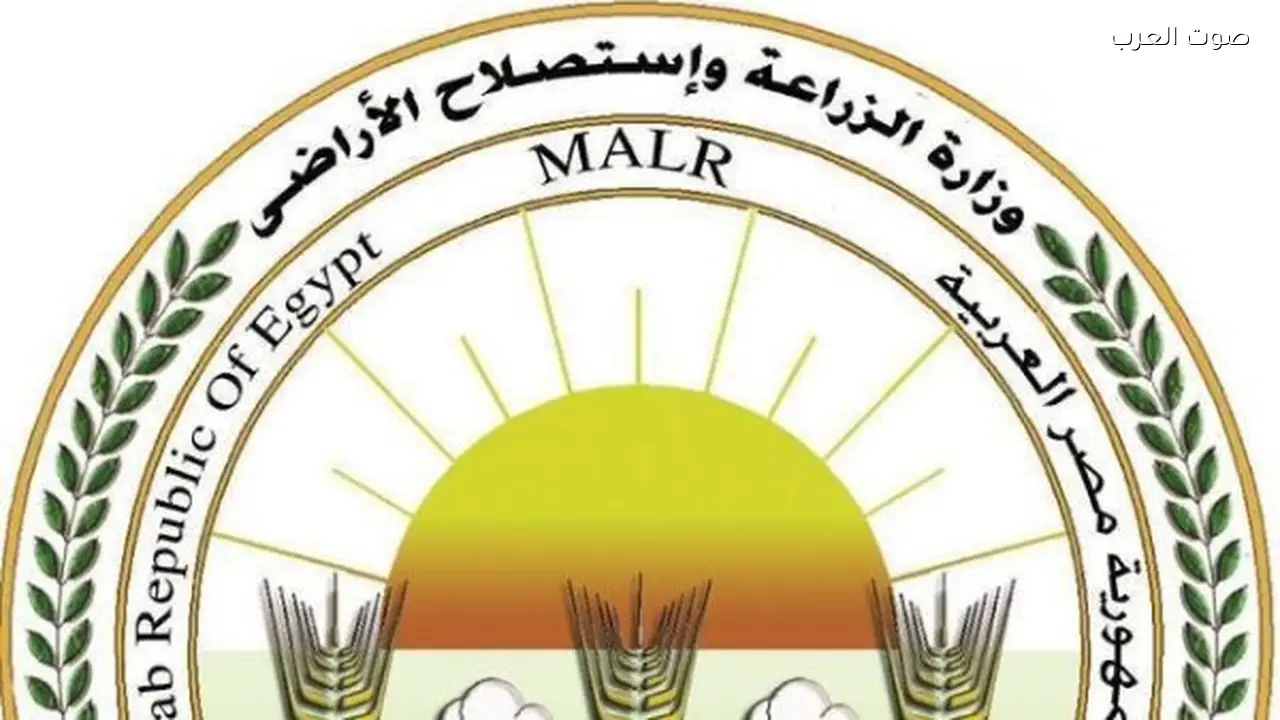 الزراعة توقف الري والرش في مناطق بسبب سوء الأحوال الجوية