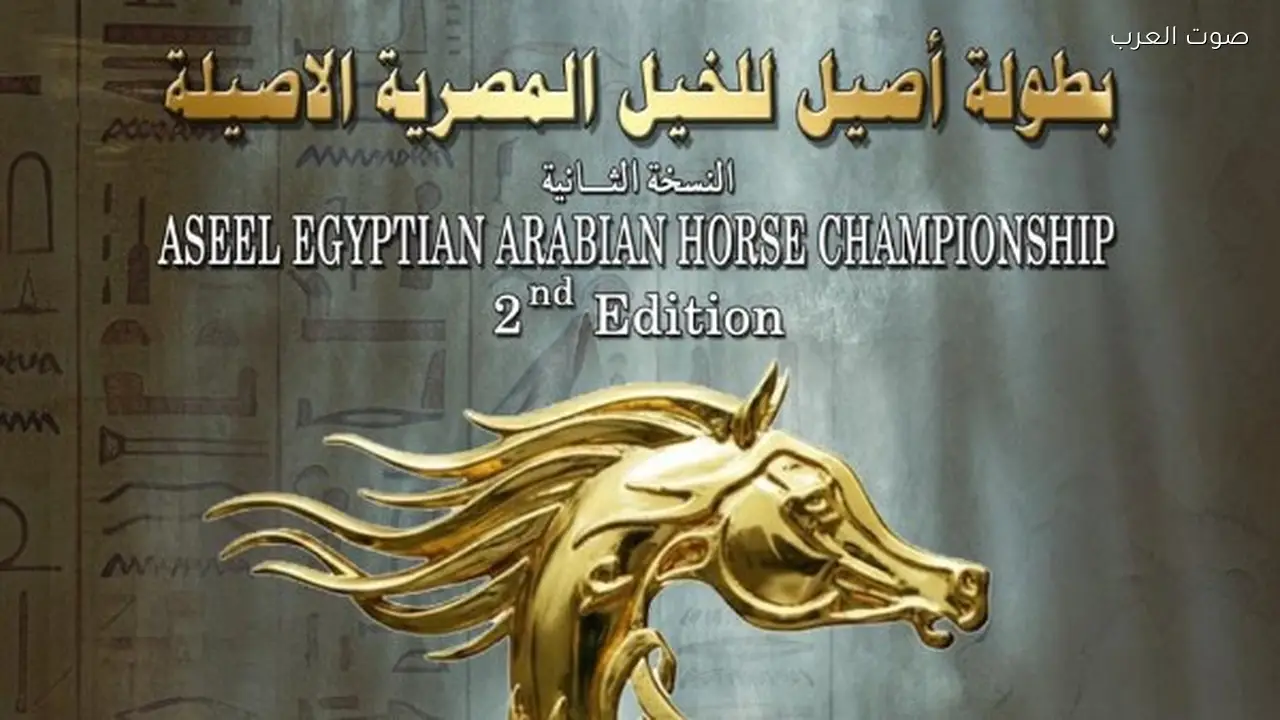 انطلاق بطولة «أصيل» لجمال الخيول العربية بمشاركة 151 جوادًا
