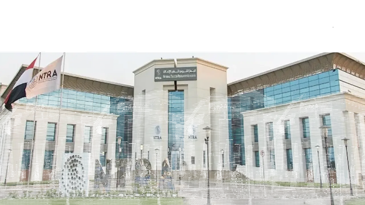 باقة الإنترنت: خياراتك المتاحة عند نفادها قبل الموعد المحدد بعد الزيادة في الأسعار