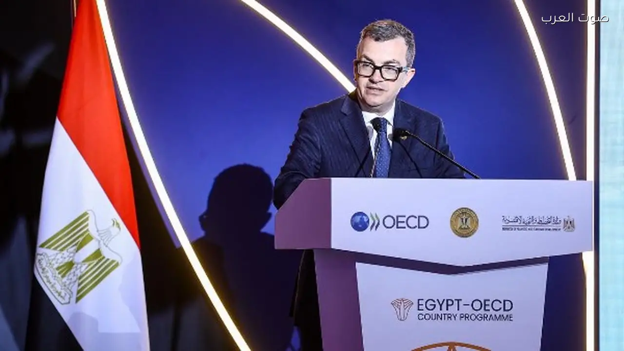 برنامج OECD يعزز الإصلاح الاقتصادي في مصر حسب وزير التخطيط