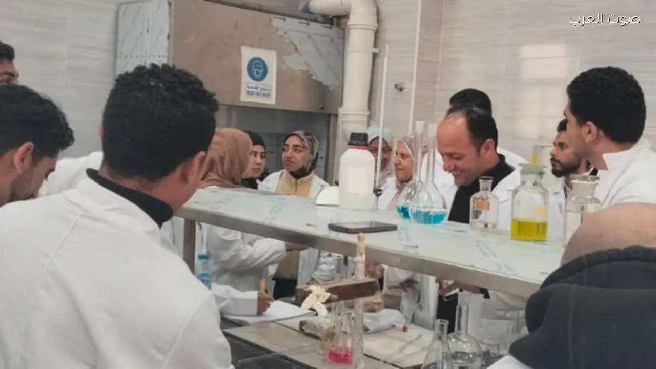 تدريب متقدم لسلامة الغذاء في الإسكندرية لتعزيز التنافسية والصادرات