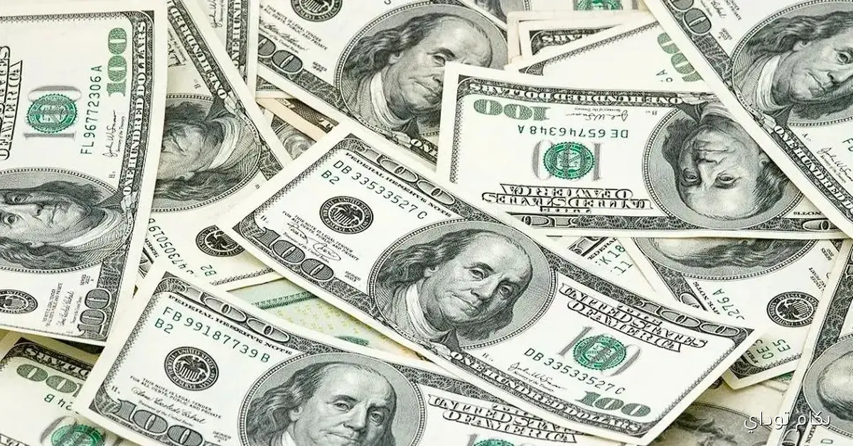 سعر الدولار في البنوك المصرية اليوم: هل يشهد استقرارًا أم ارتفاعًا؟
