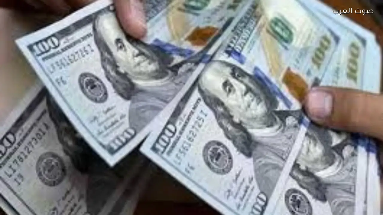 سعر الدولار يبقى ثابتًا في تعاملات مساء اليوم