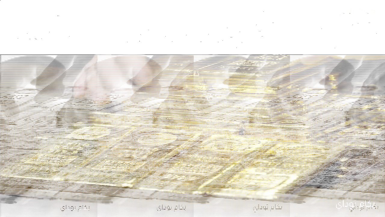 أسعار سبيكة الذهب 5 جرام btc في الصاغة اليوم الجمعة 15 مايو 2026 مستقرة