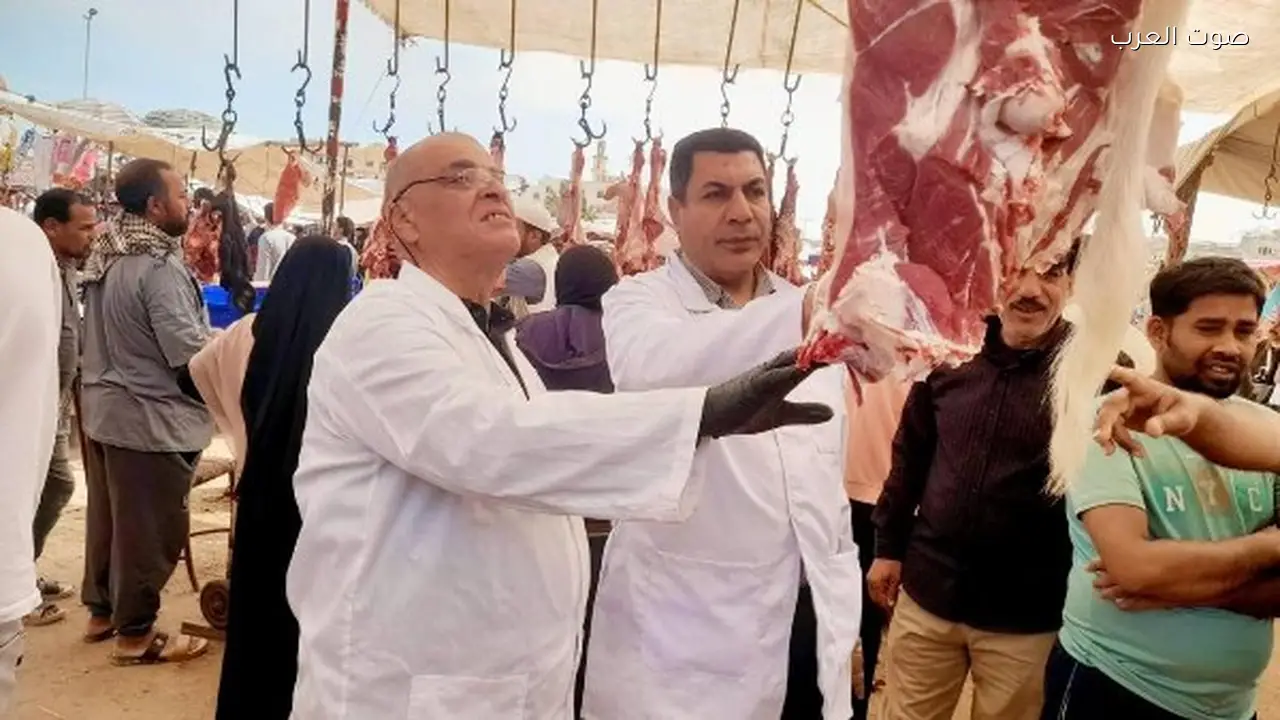 ضبط 190 طنًا من اللحوم غير المطابقة في أبريل