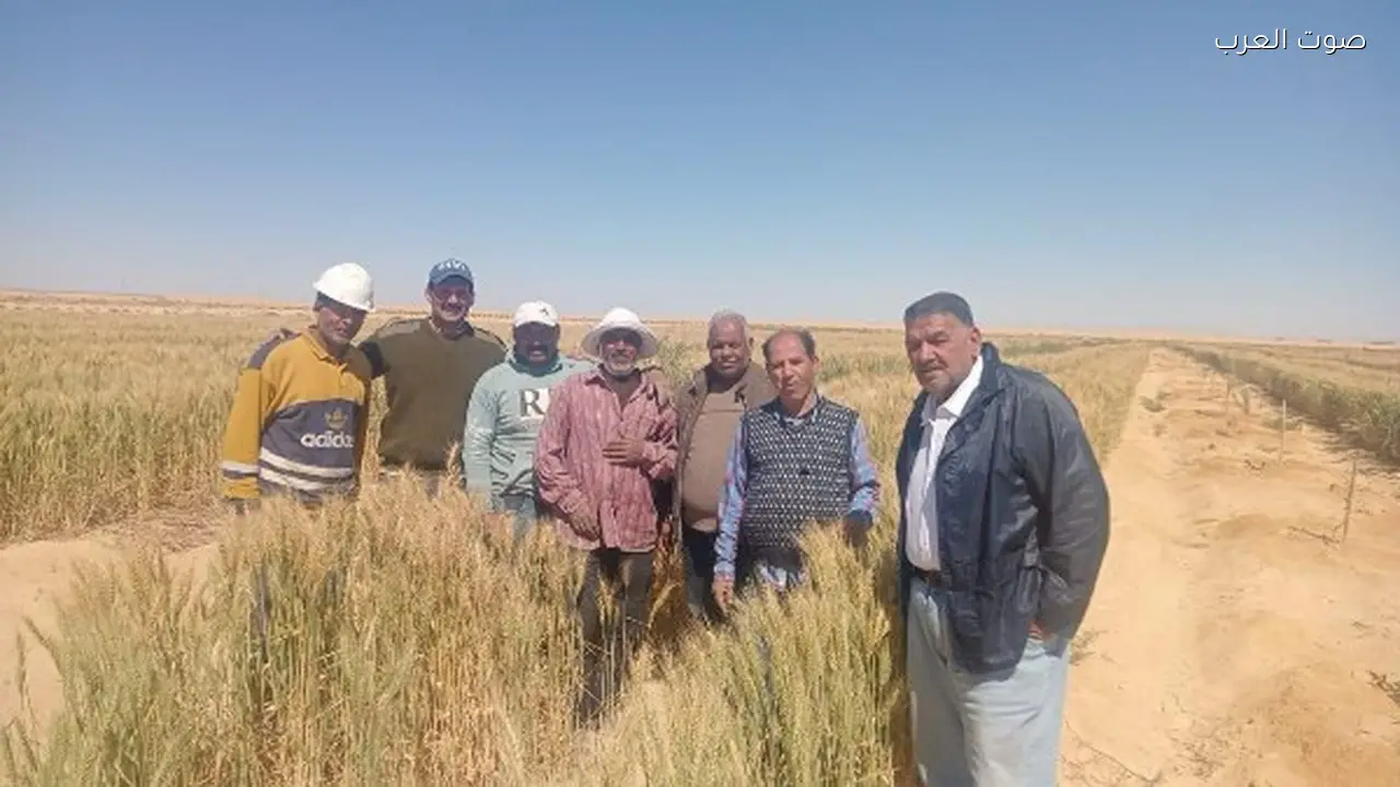 “مركز بحوث الصحراء يعرض جهوده في الزراعة والأنشطة الإرشادية”