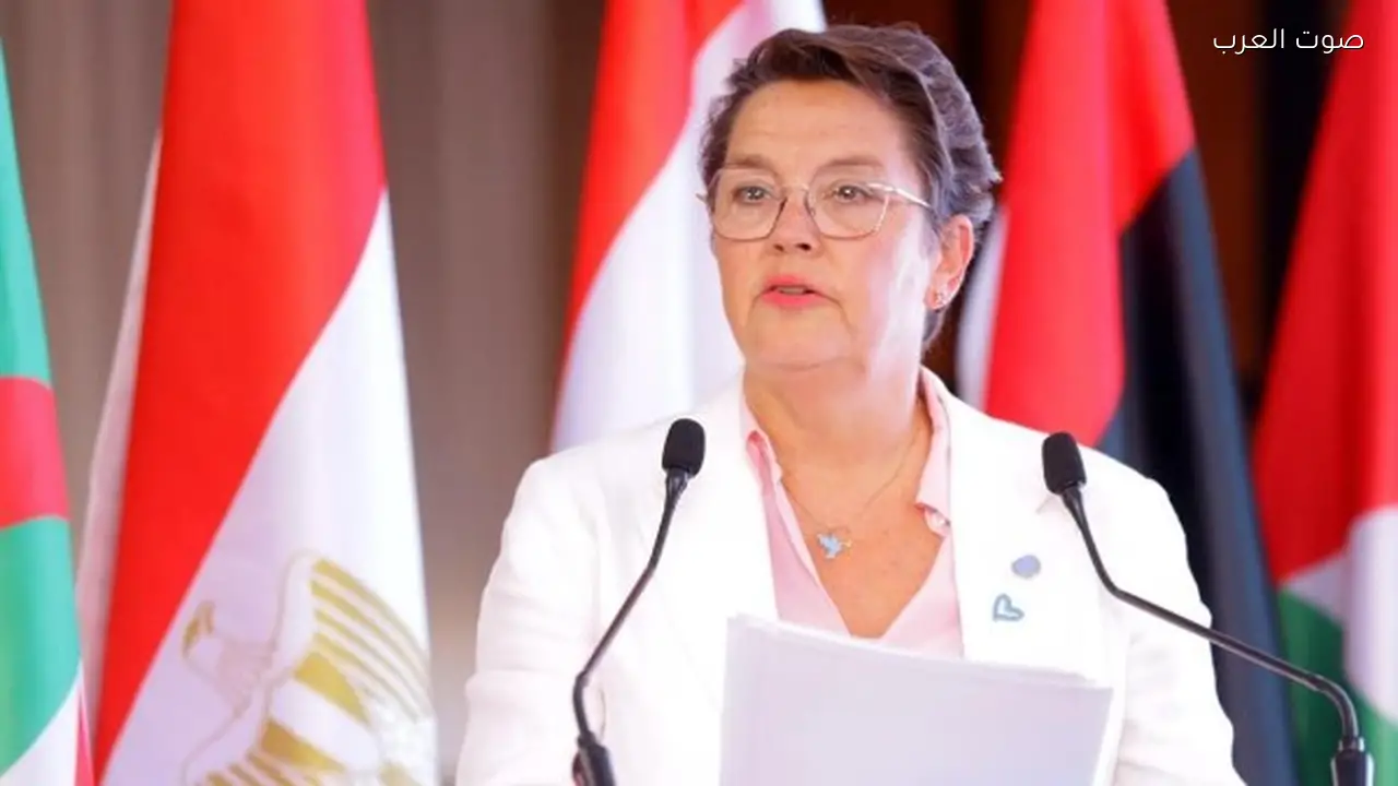 مسؤولة أممية تثني على جهود مصر في مكافحة جرائم الإنترنت