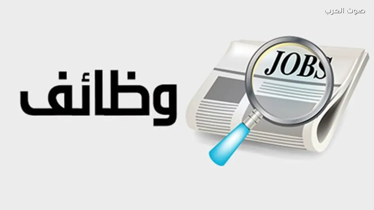 وظائف المجلس القومي للمرأة الشروط والأوراق المطلوبة
