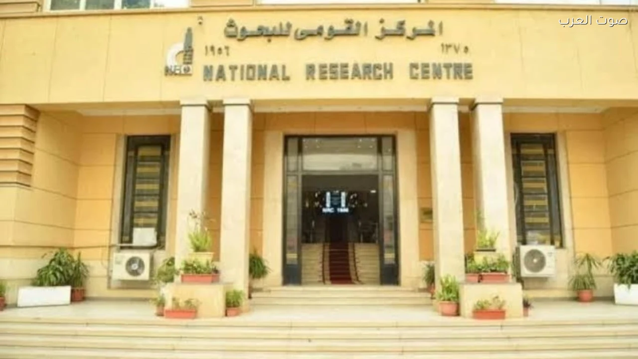 133 عالمًا من المركز القومي للبحوث ضمن أفضل 2% عالميًا في تصنيف ستانفورد