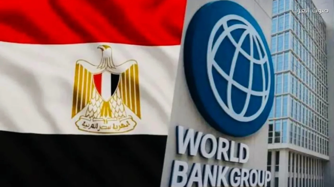 مصر تستعد لإطلاق استراتيجية استثمار أجنبي بالشراكة مع البنك الدولي وتستهدف 16 قطاعا