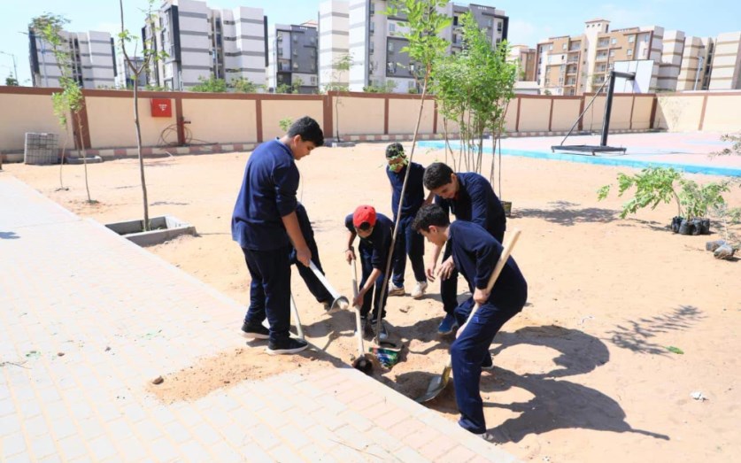 التنمية المحلية تدعم مدرسة الكرنك ببدر بـ150 شجرة ضمن مبادرة 100 مليون شجرة