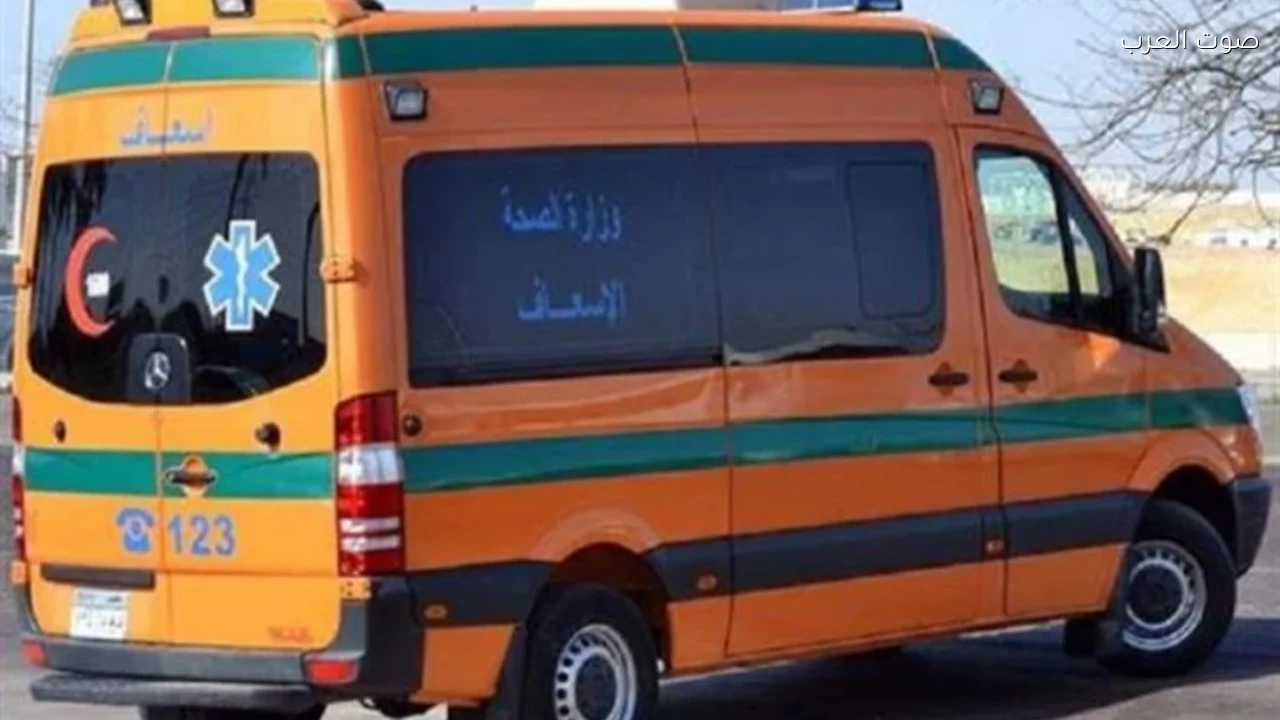 إصابة 12 شخصًا في انقلاب سيارة ربع نقل بالنوبارية